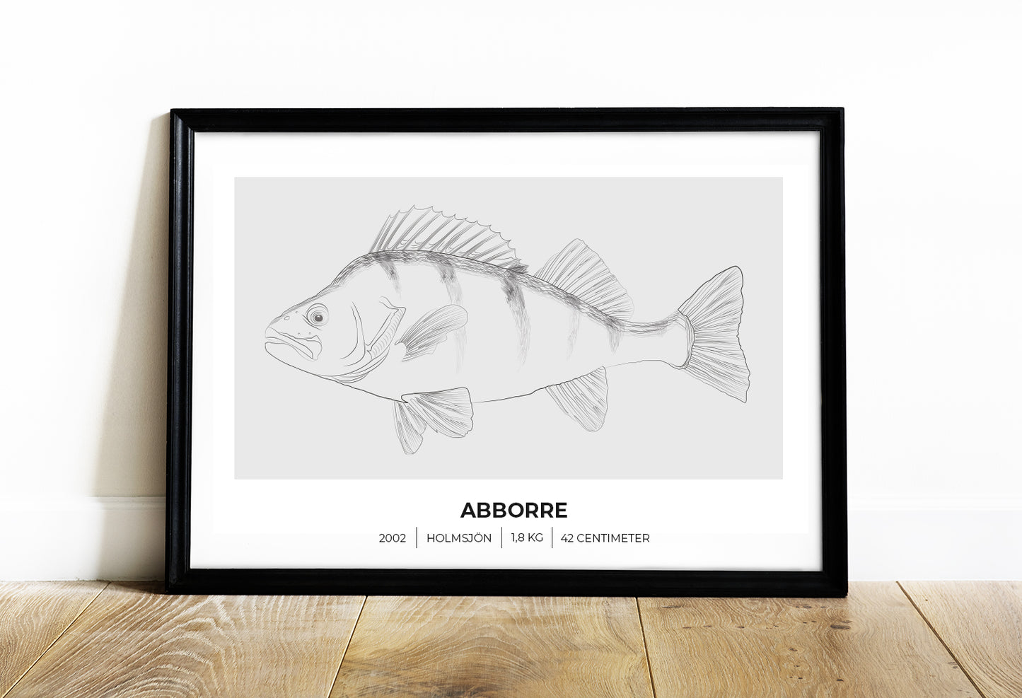 Abborre – Poster för fiskare 70x50 cm