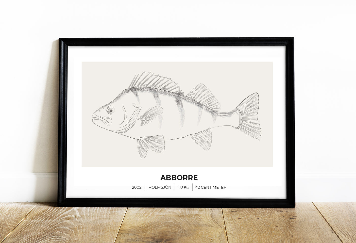 Abborre – Poster för fiskare 70x50 cm