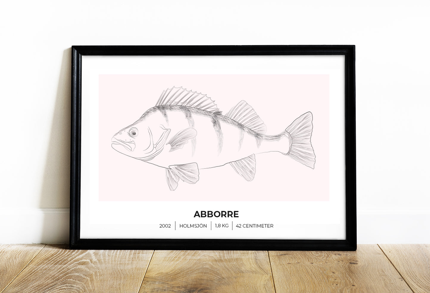 Abborre – Poster för fiskare 70x50 cm