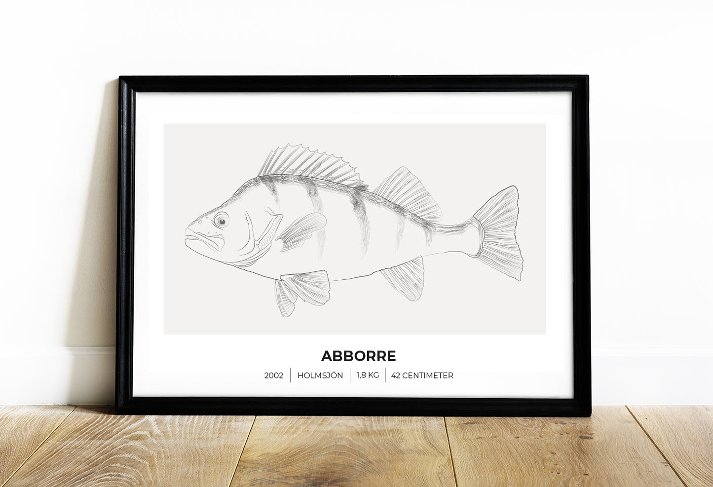 Abborre – Poster för fiskare 70x50 cm