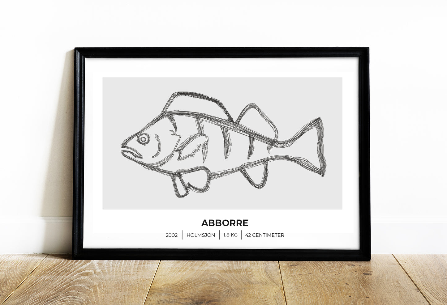 Abborre – Poster för fiskare 70x50 cm