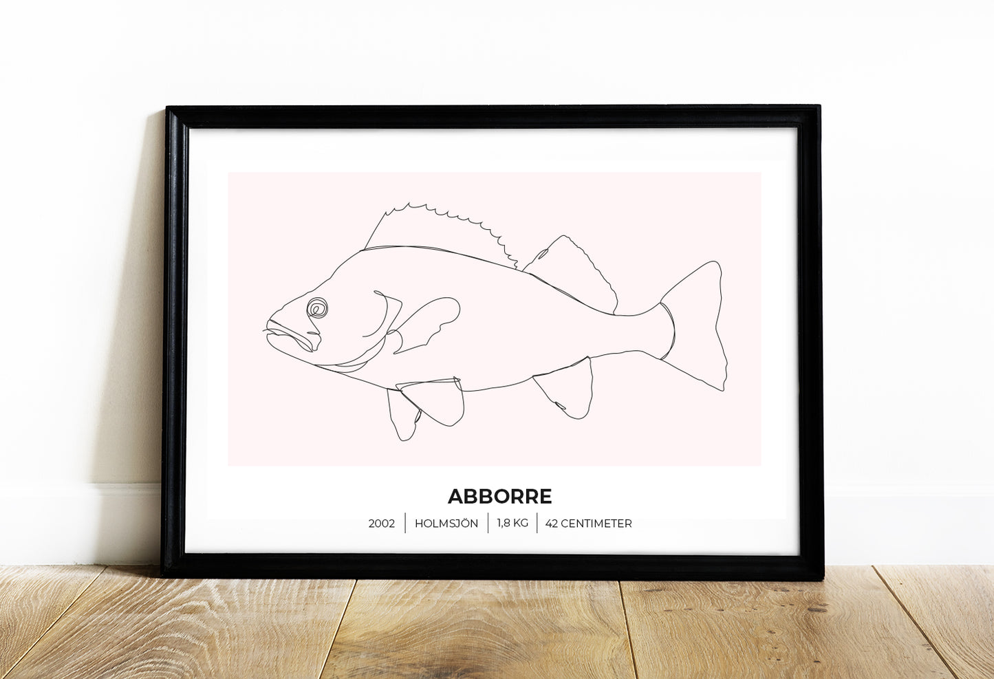 Abborre – Poster för fiskare 70x50 cm
