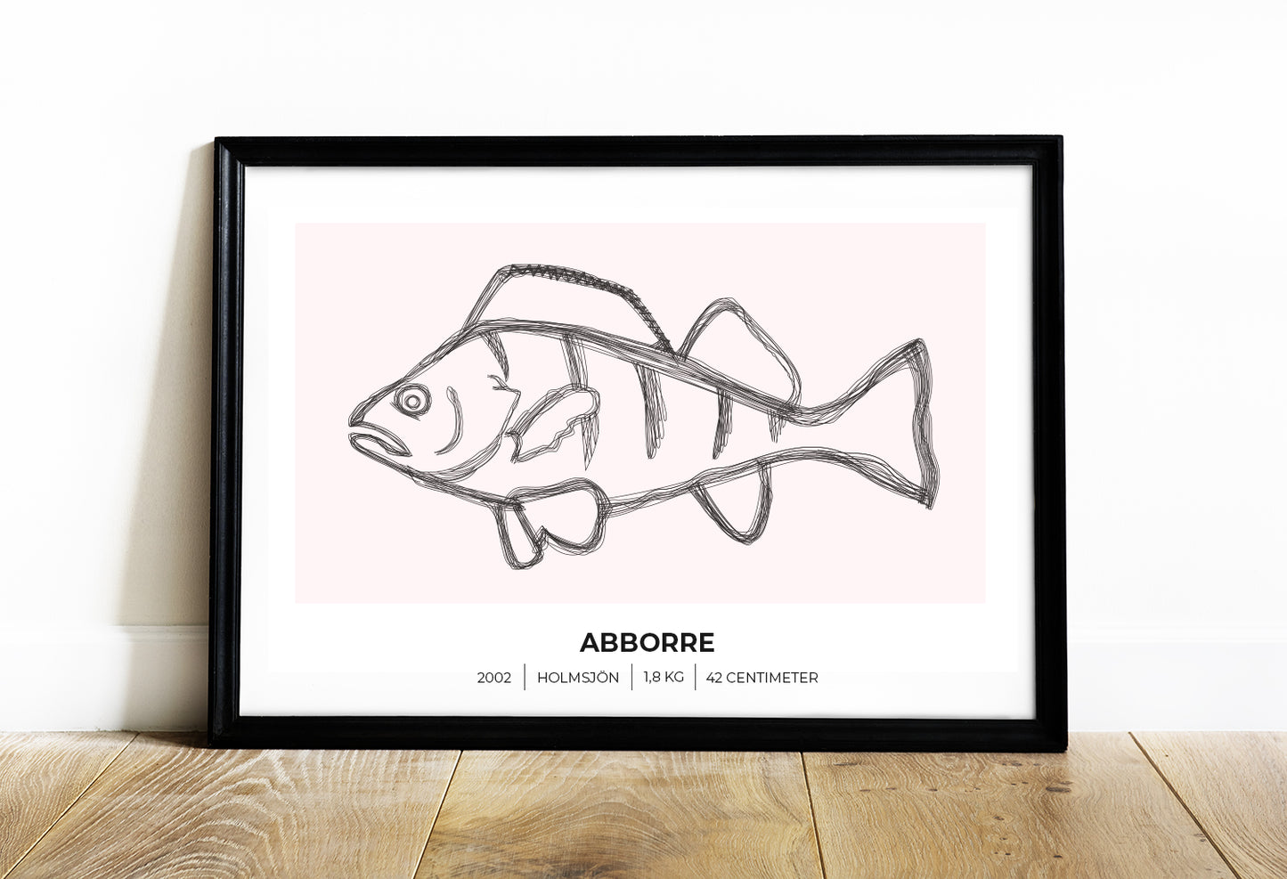 Abborre – Poster för fiskare 70x50 cm