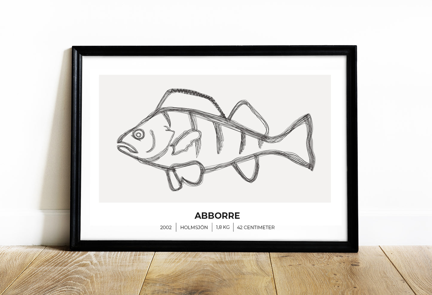 Abborre – Poster för fiskare 70x50 cm