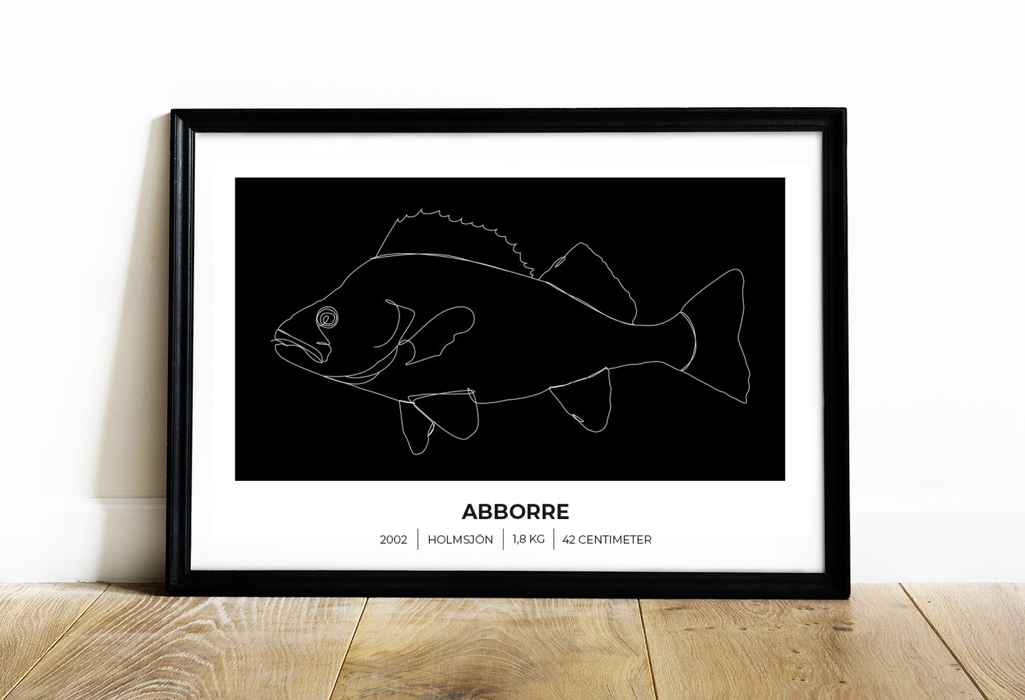 Abborre – Poster för fiskare 70x50 cm