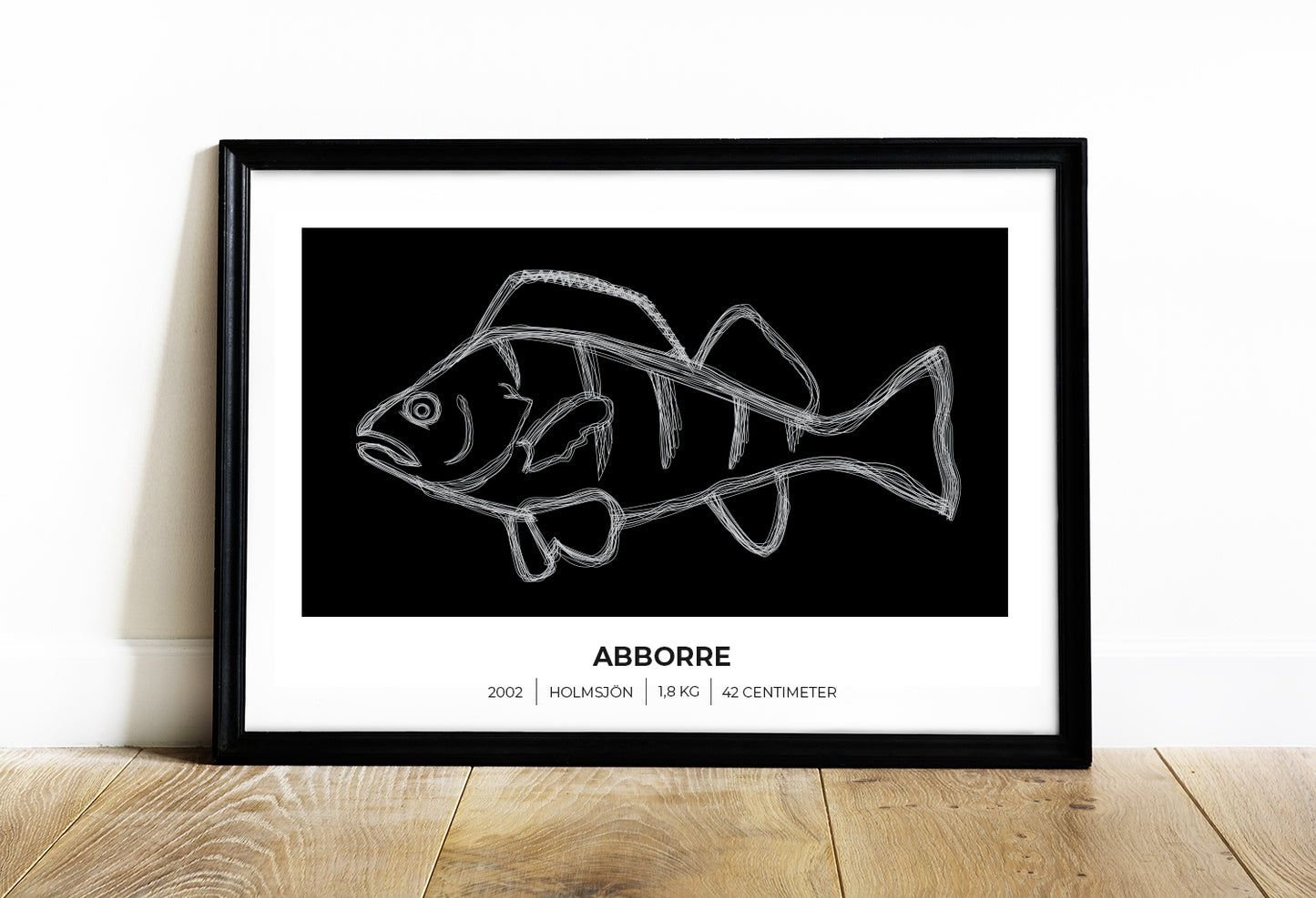 Abborre – Poster för fiskare 70x50 cm