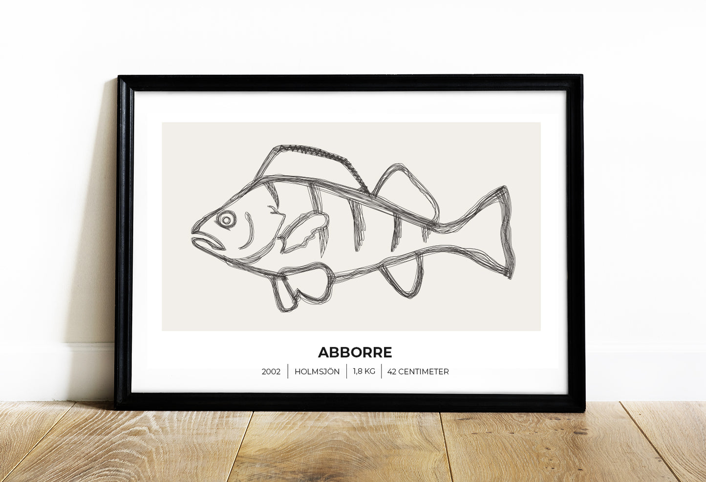 Abborre – Poster för fiskare 70x50 cm