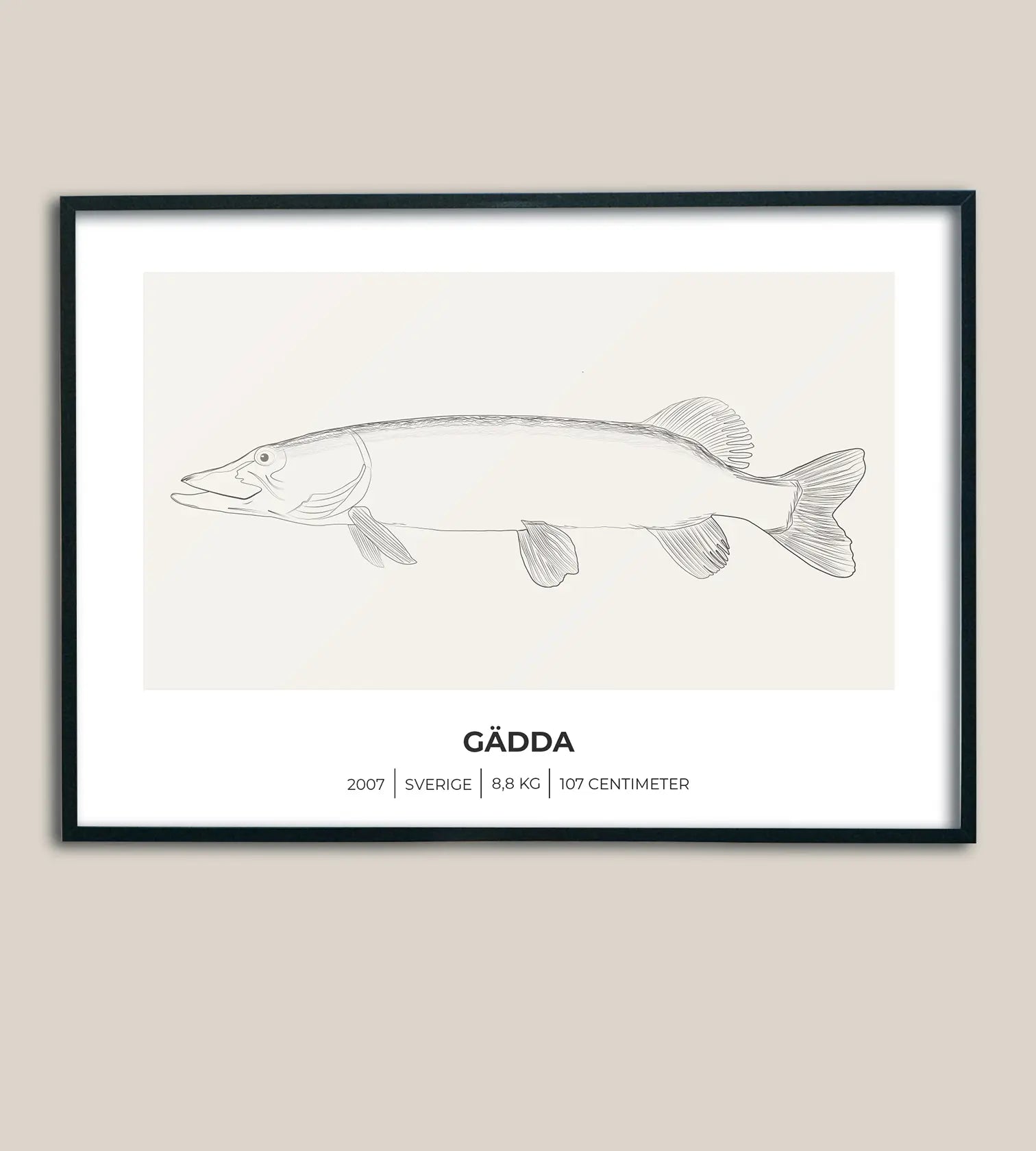 Gäddposter – Minimalistiskt motiv i 3 olika varianter