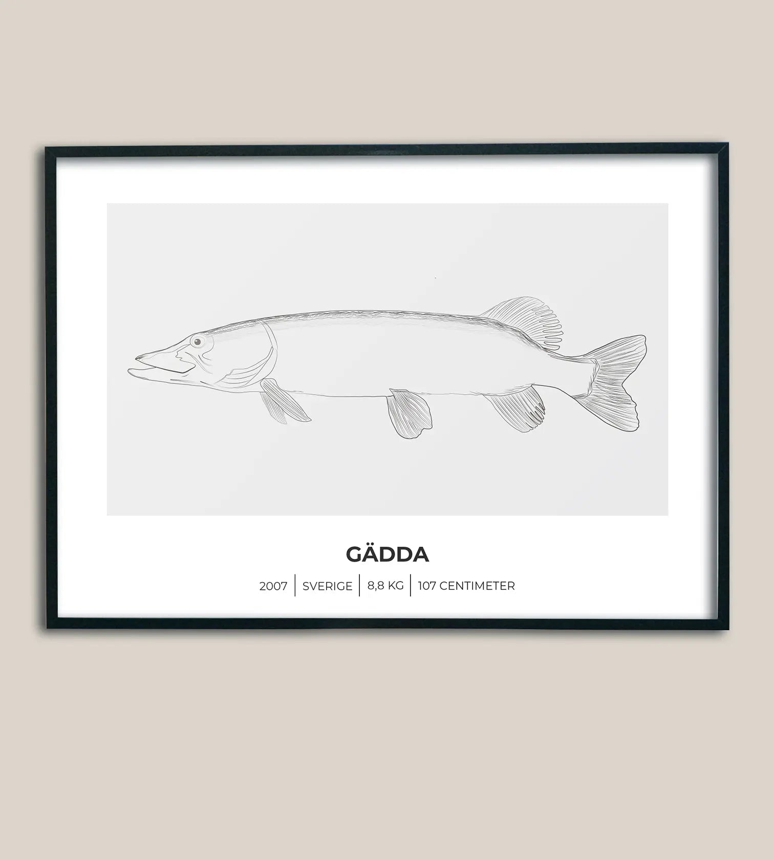 Gäddposter – Minimalistiskt motiv i 3 olika varianter