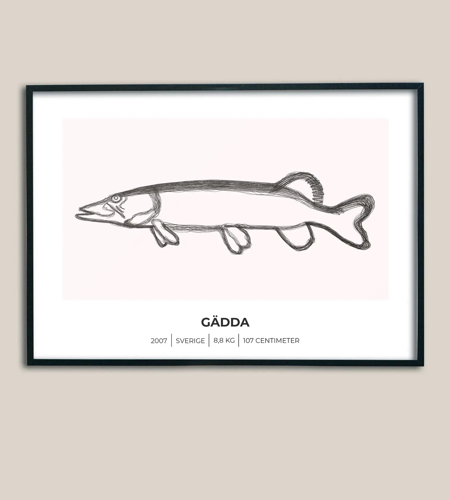 Gäddposter – Minimalistiskt motiv i 3 olika varianter