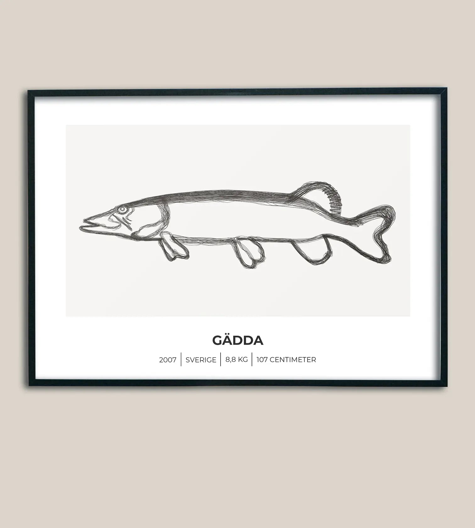 Gäddposter – Minimalistiskt motiv i 3 olika varianter