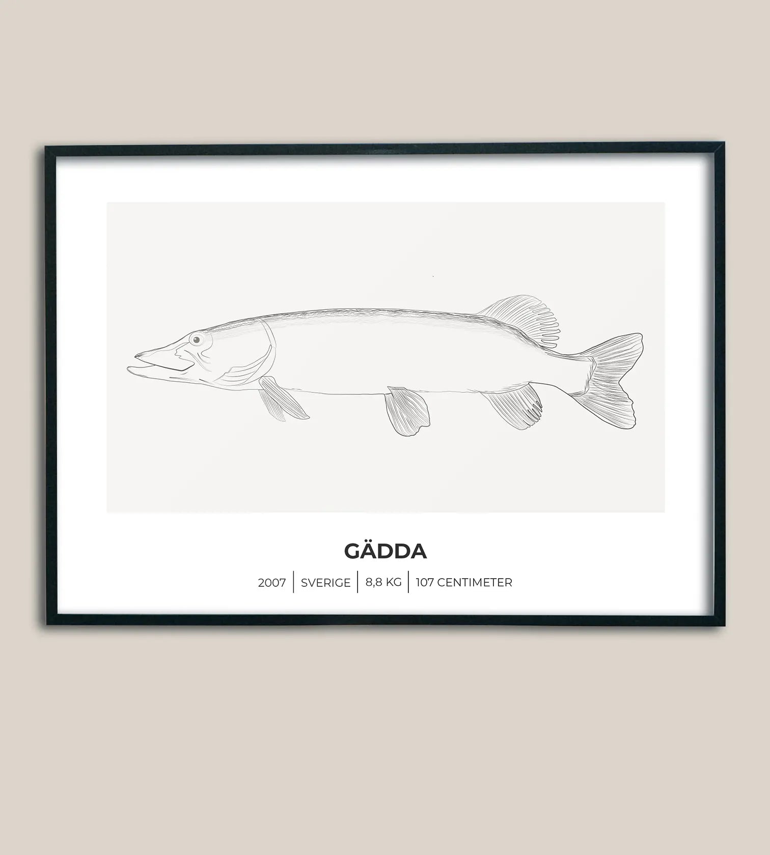 Gäddposter – Minimalistiskt motiv i 3 olika varianter