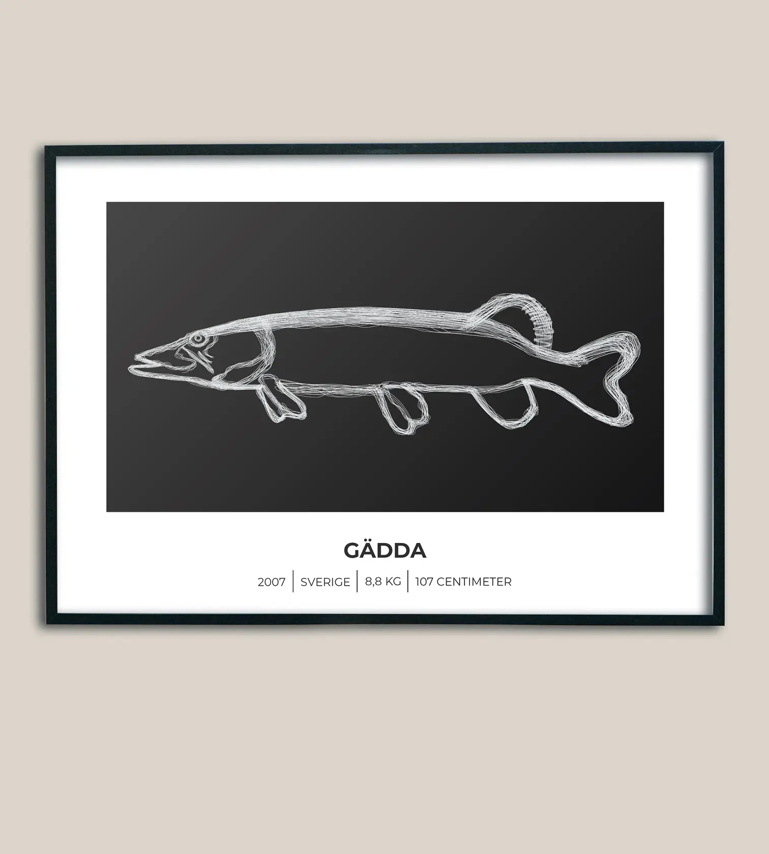 Gäddposter – Minimalistiskt motiv i 3 olika varianter