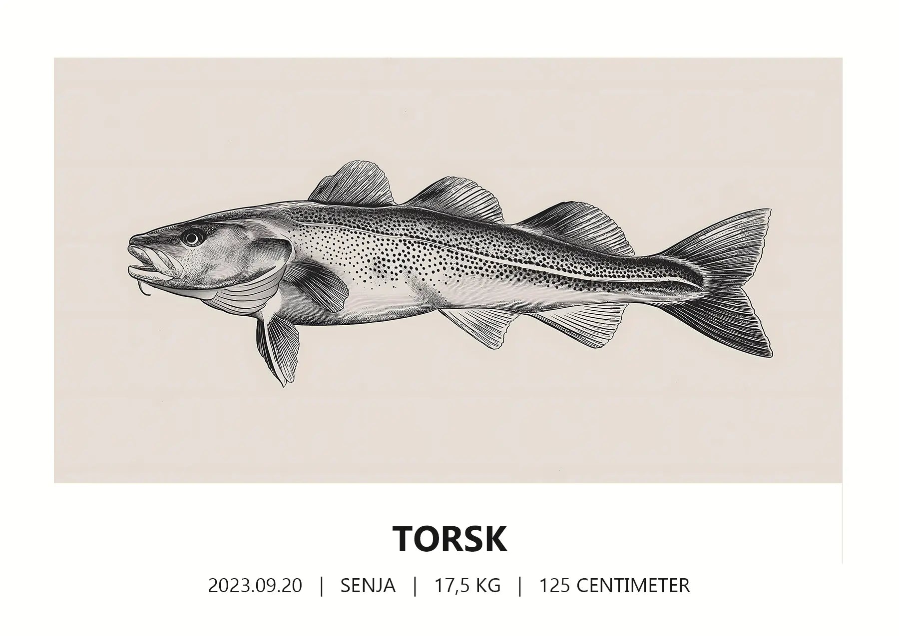 Torskposter - Detaljerat porträtt i naturstil