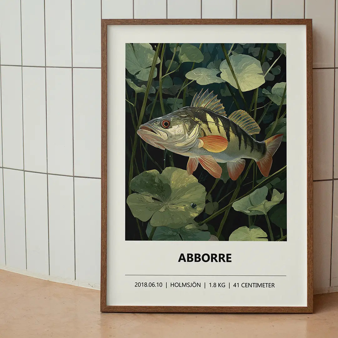 Abborre II – Färgstark illustration