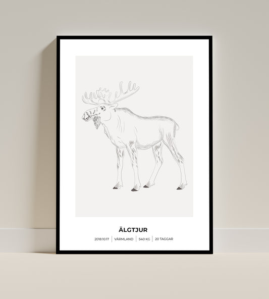 Älgposter - Minimalistiskt motiv i 3 olika varianter