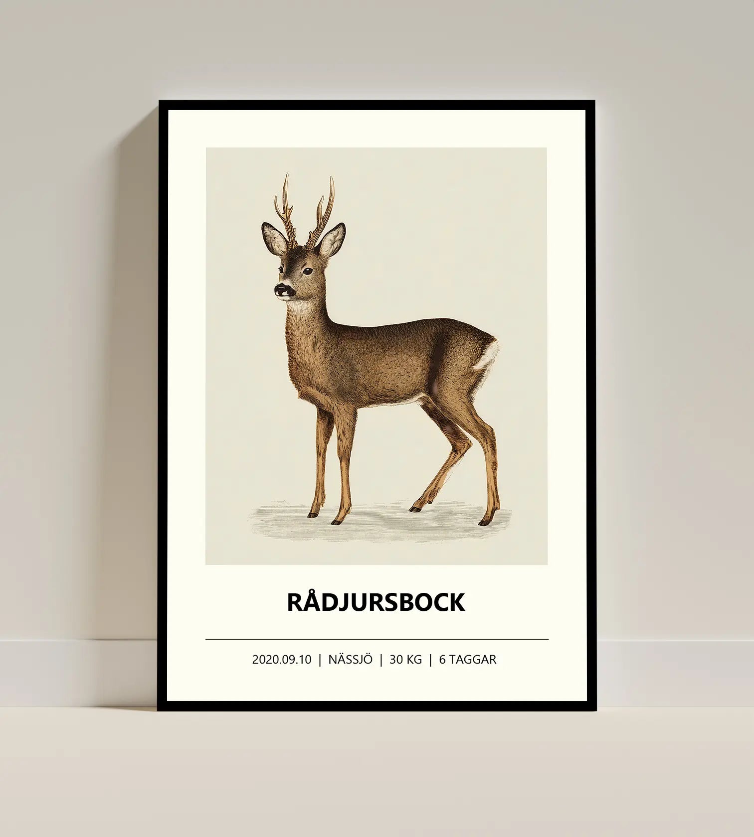 Rådjursposter – Jordnära färger