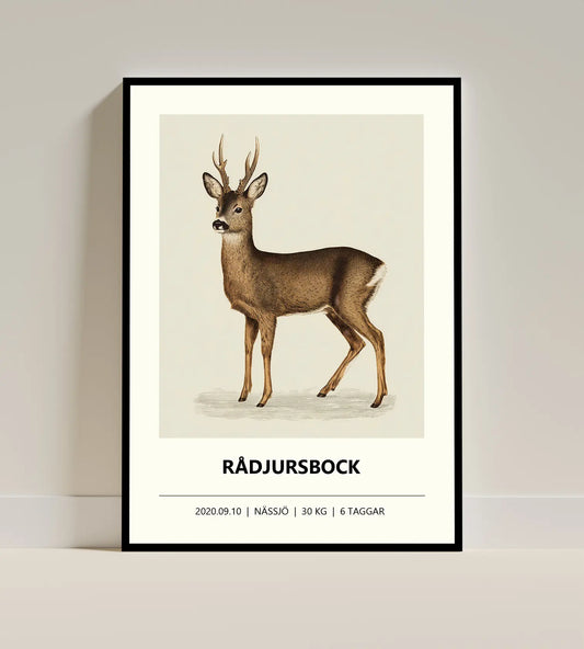 Rådjursposter – Jordnära färger